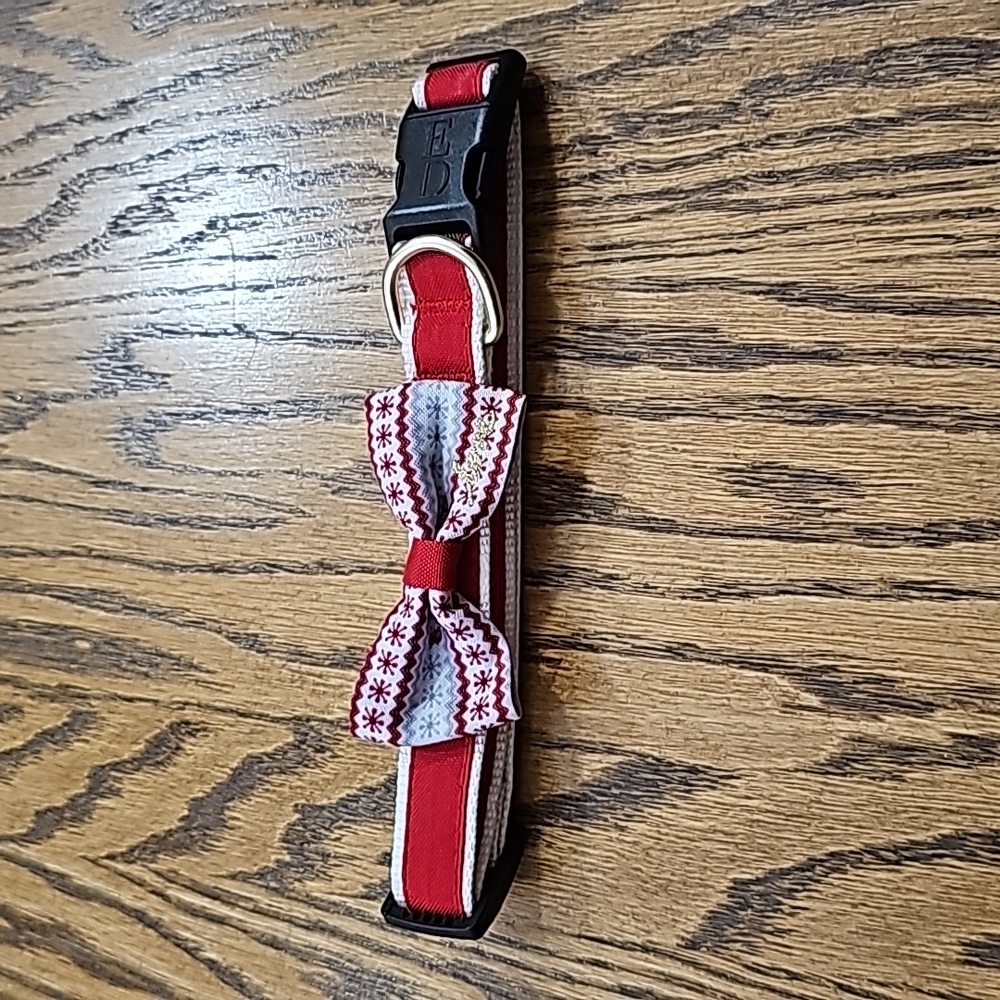 Ellen DeGeneres Dog Collar